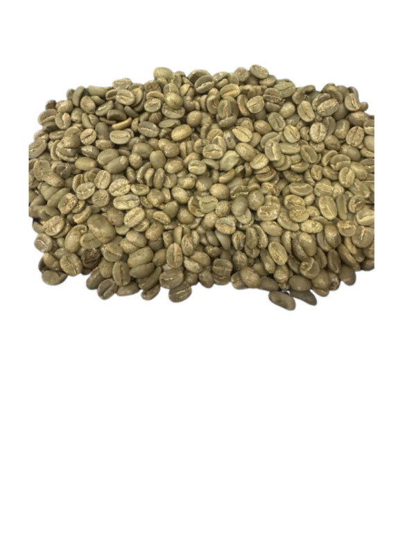 Arabica Coffee - AA - Image 2