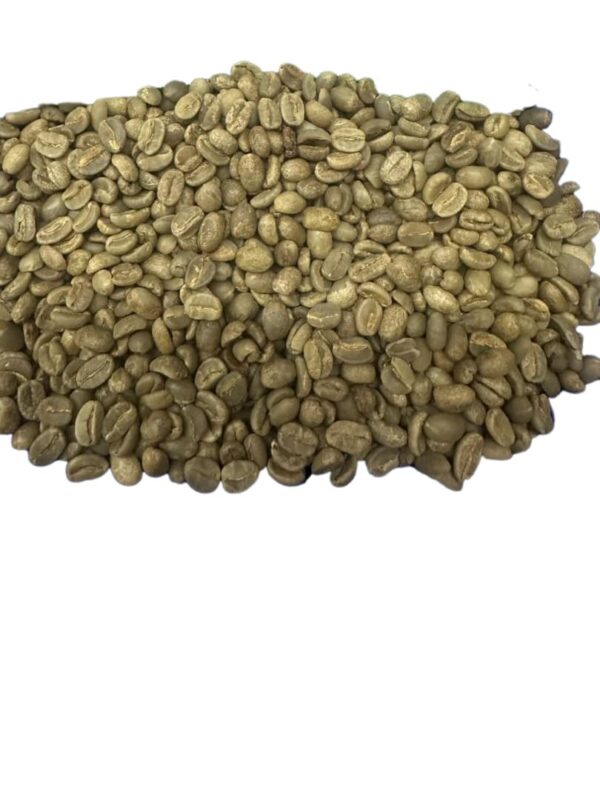 Arabica Coffee - AB - Image 2